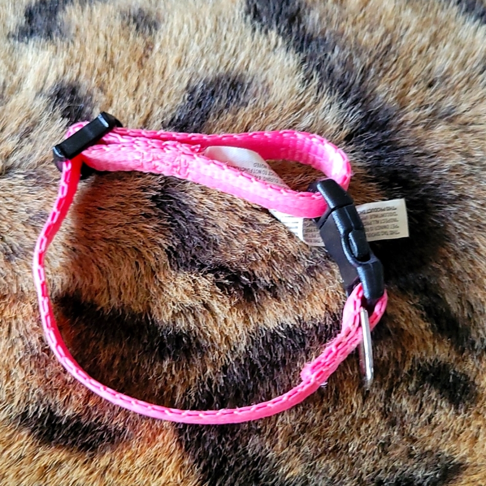 Small pet collar
